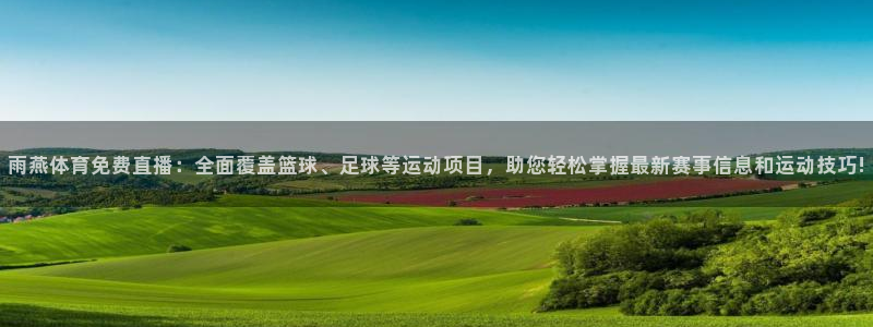 雨燕体育免费直播：全面覆盖篮球、足球等运动项目，助您轻松掌握最新赛事信息和运动技巧!
