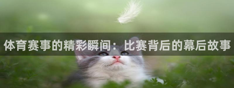 体育赛事的精彩瞬间：比赛背后的幕后故事