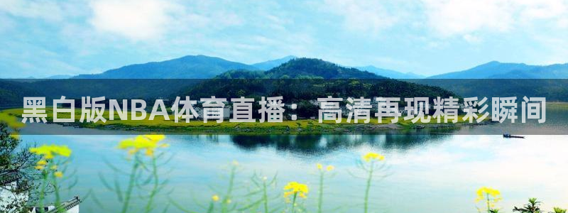 黑白版NBA体育直播：高清再现精彩瞬间