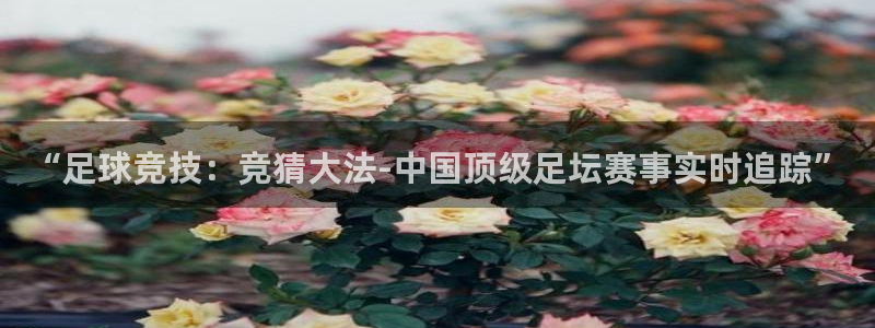 “足球竞技：竞猜大法-中国顶级足坛赛事实时追踪”