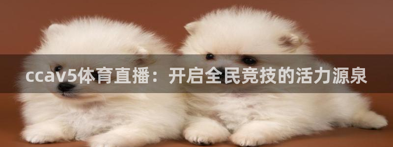 ccav5体育直播：开启全民竞技的活力源泉
