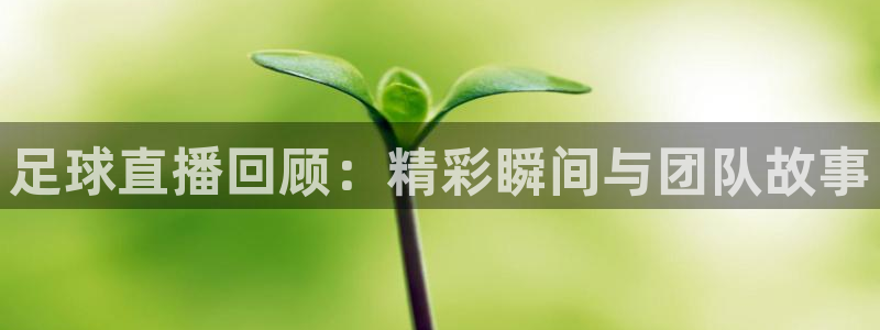 足球直播回顾：精彩瞬间与团队故事