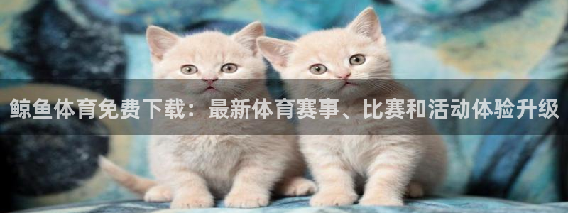 鲸鱼体育免费下载：最新体育赛事、比赛和活动体验升级
