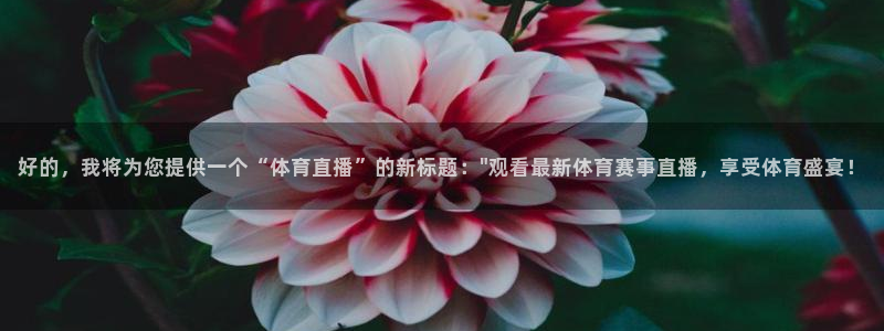 好的，我将为您提供一个“体育直播”的新标题：\