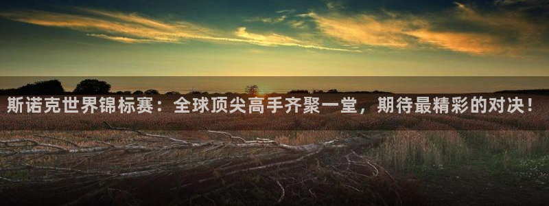 斯诺克世界锦标赛：全球顶尖高手齐聚一堂，期待最精彩的对决！
