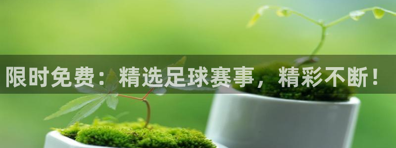 限时免费：精选足球赛事，精彩不断！
