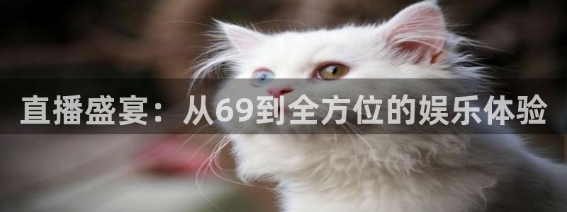 直播盛宴：从69到全方位的娱乐体验