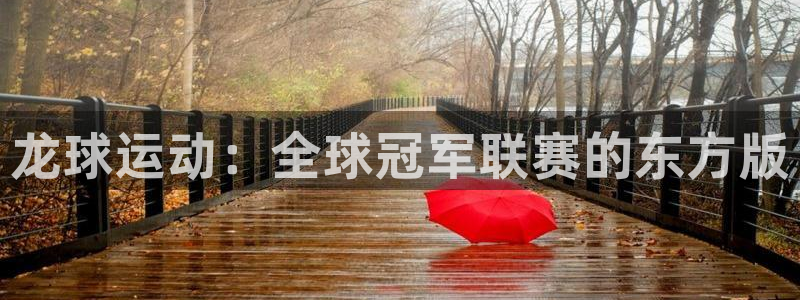 龙球运动：全球冠军联赛的东方版