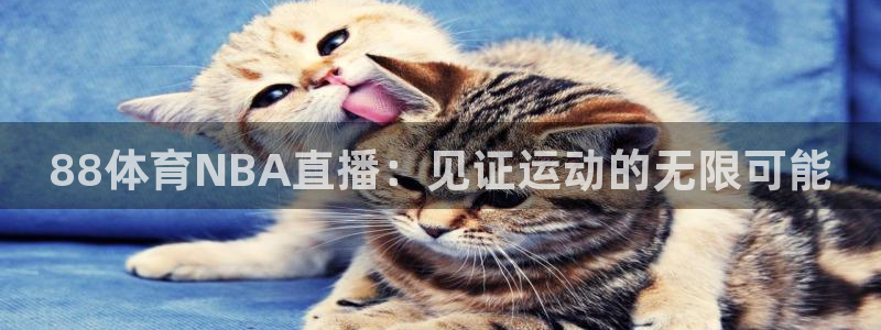 88体育NBA直播：见证运动的无限可能