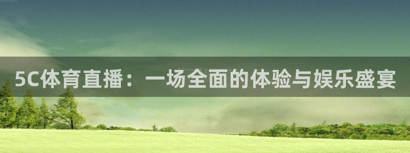 5C体育直播：一场全面的体验与娱乐盛宴
