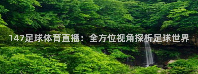 147足球体育直播：全方位视角探析足球世界