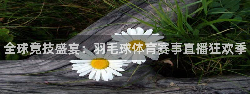 全球竞技盛宴：羽毛球体育赛事直播狂欢季