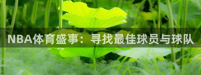 NBA体育盛事：寻找最佳球员与球队