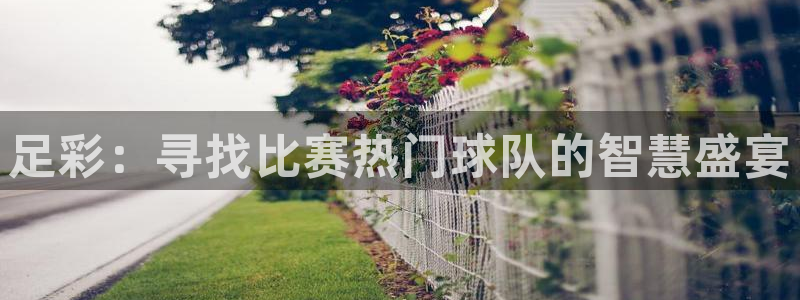 足彩：寻找比赛热门球队的智慧盛宴