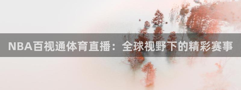 NBA百视通体育直播：全球视野下的精彩赛事