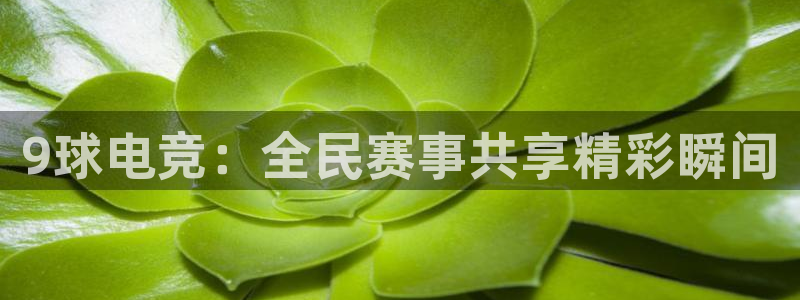 9球电竞：全民赛事共享精彩瞬间