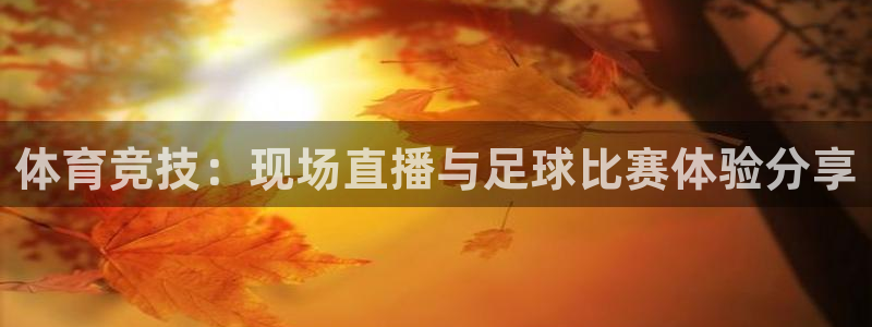 体育竞技：现场直播与足球比赛体验分享